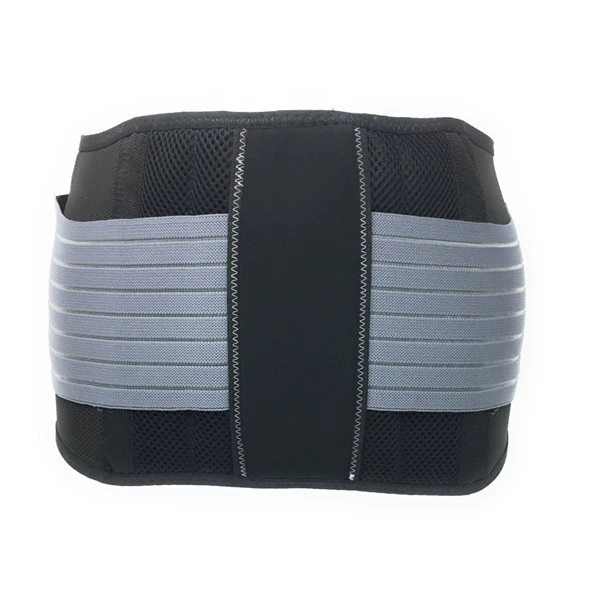 Champion Large Black Sacrum Brace - Image 3