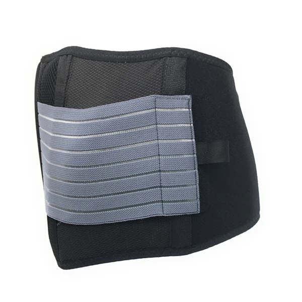 Champion Large Black Sacrum Brace - Image 5